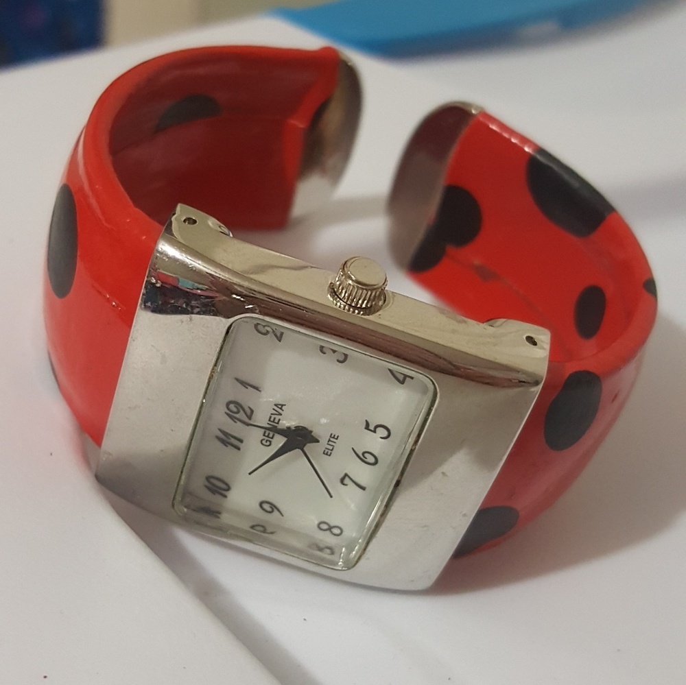 Ladies ladybug watch
